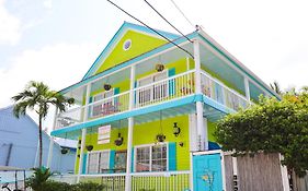 Maison D'hôtes Caribbean House À